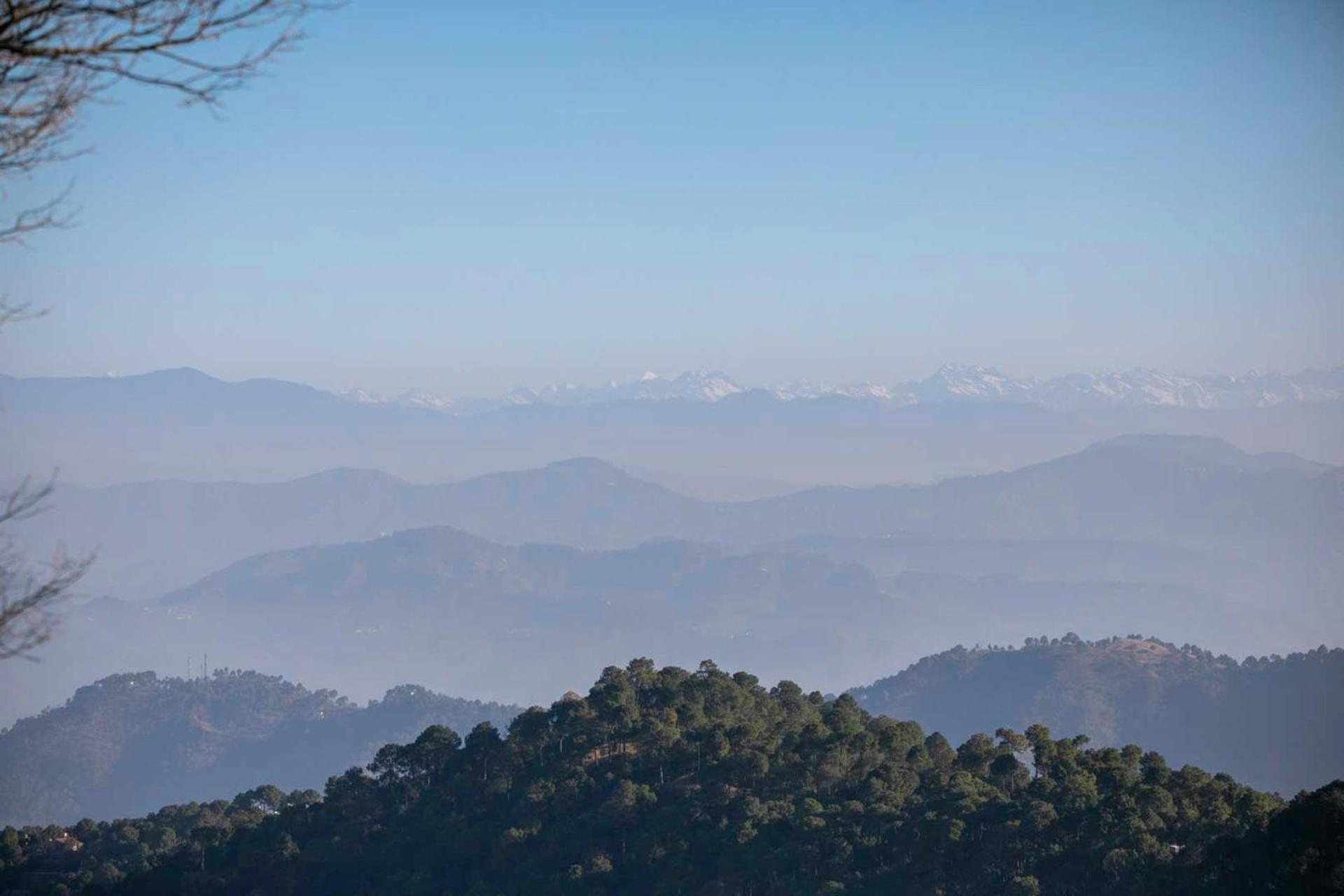 Stayvista At Padam Hill- Pet Friendly Villa With Garden Kasauli Exterior photo
